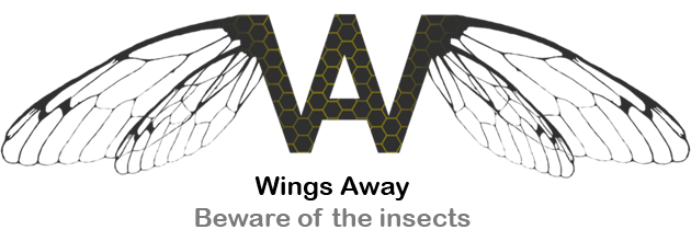 Logo Wings Away